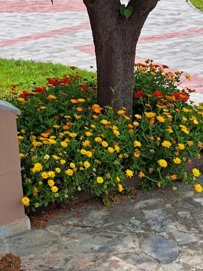 Eleonas Apartments נאה רודה